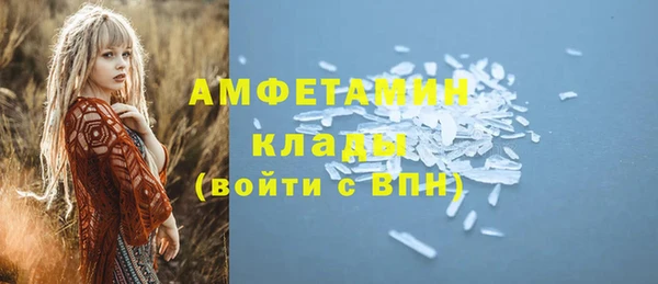 шишки Арсеньев