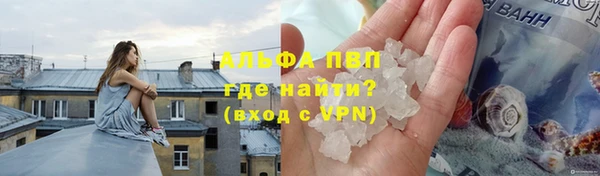 шишки Арсеньев