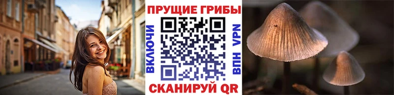 Псилоцибиновые грибы ЛСД  Богородицк 
